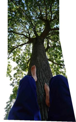 2024 Ritual No 13 Baum Füße_1