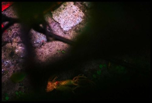 2025-03-23-Sous la pluie douce  06b